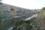 PICTURES/Cordoba - The Roman Bridge/t_Roman Bridge 9.JPG